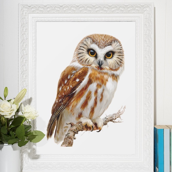 Watercolor Northern Saw-whet Owl Portrait Wall Art Print Poster, Unframed - Picture 6 of 6